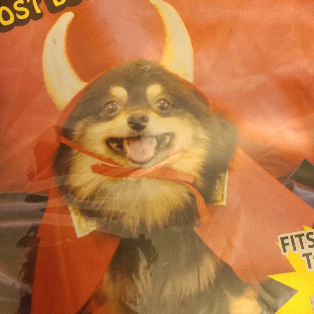 PET DEVIL COSTUME